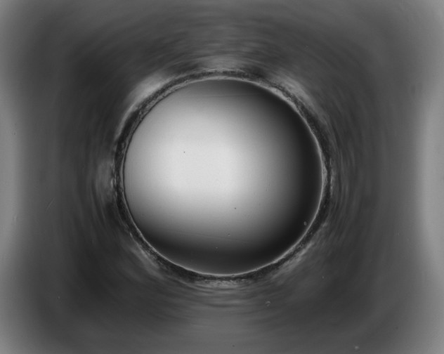 X0000086721164200704201621