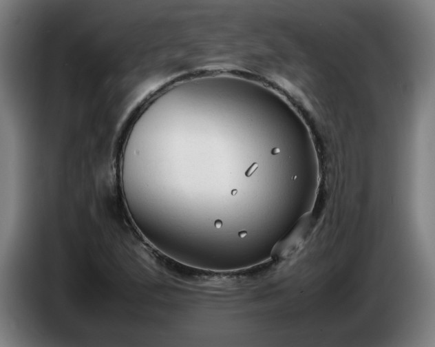 X0000086721167200704201621
