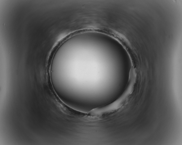 X0000086721168200704201621
