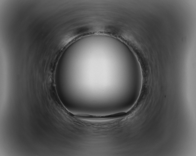 X0000086721169200704201621