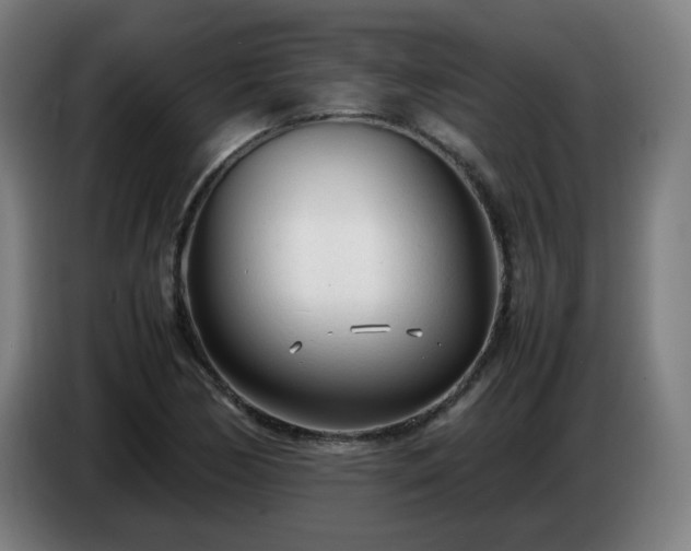 X0000086721170200704201621