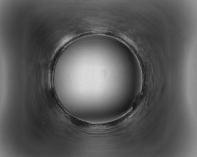 X0000086721171200704201621