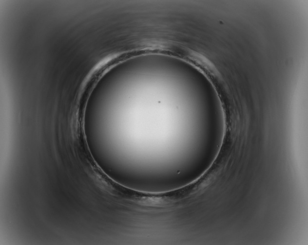 X0000086721172200704201621