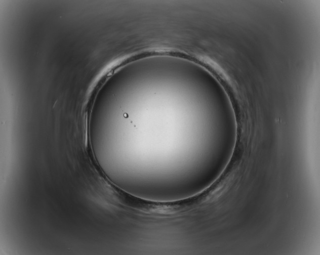 X0000086721175200704201621