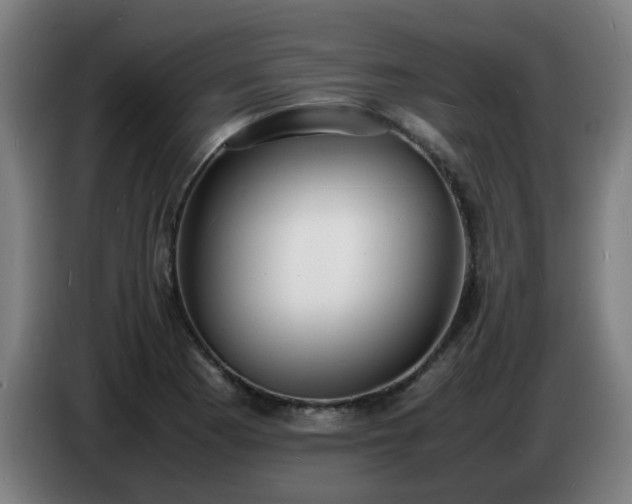X0000086721177200704201621
