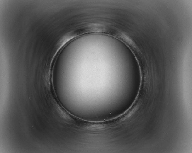 X0000086721178200704201621