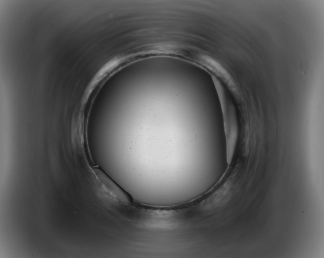 X0000086721180200704201620