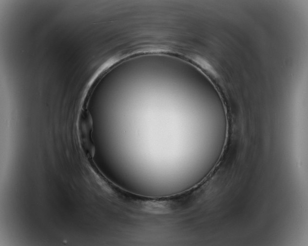 X0000086721181200704201620
