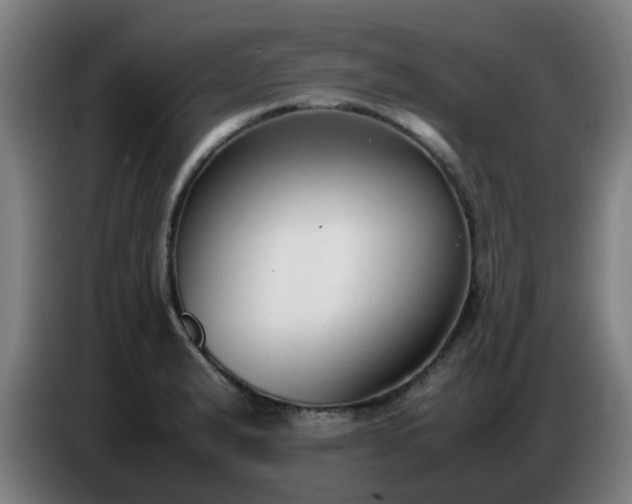 X0000086721183200704201620