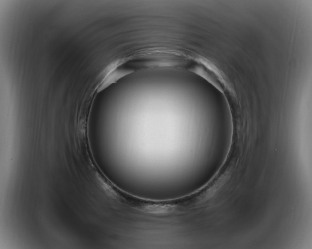 X0000086721185200704201620