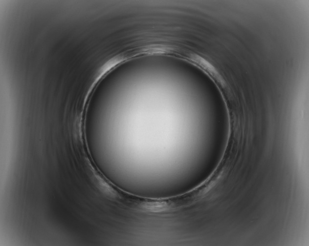 X0000086721186200704201620