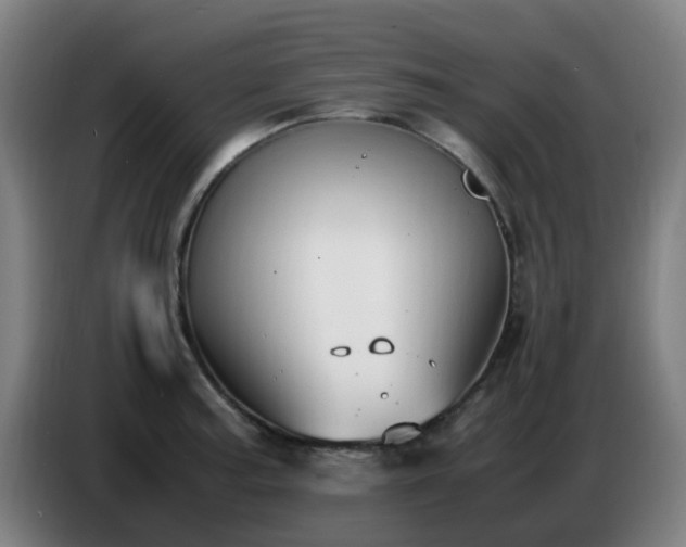 X0000086721187200704201620