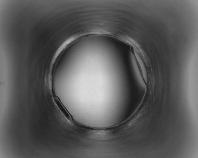 X0000086721188200704201620