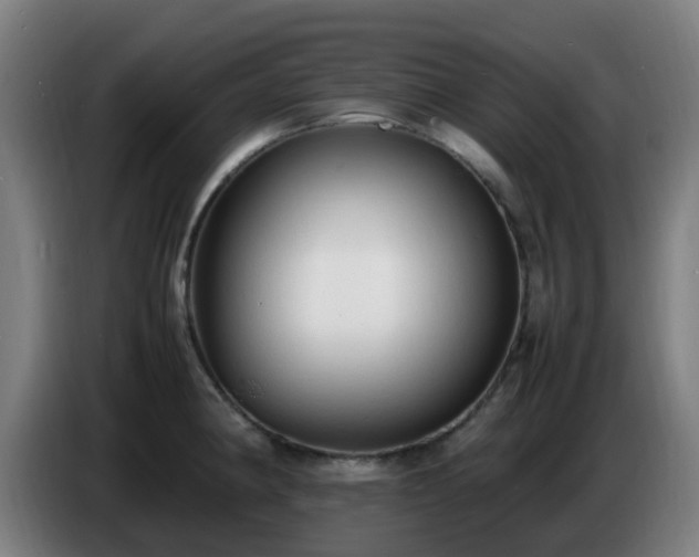 X0000086721190200704201620