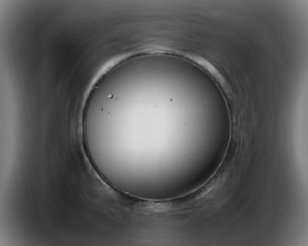 X0000086721191200704201620