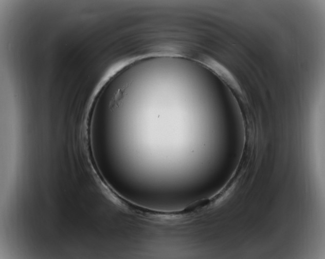 X0000086721192200704201620