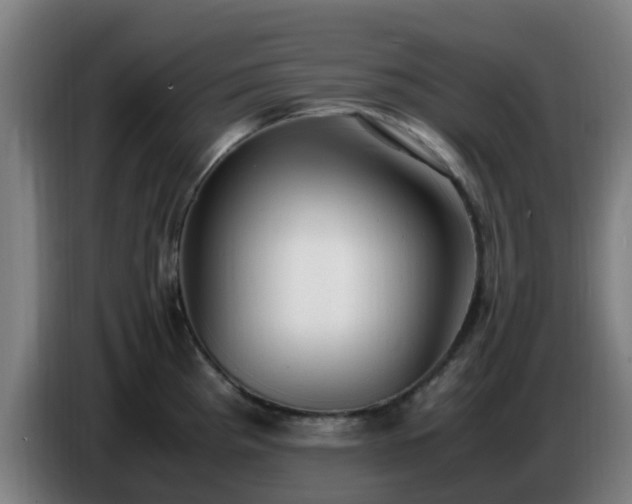 X0000086721193200704201620