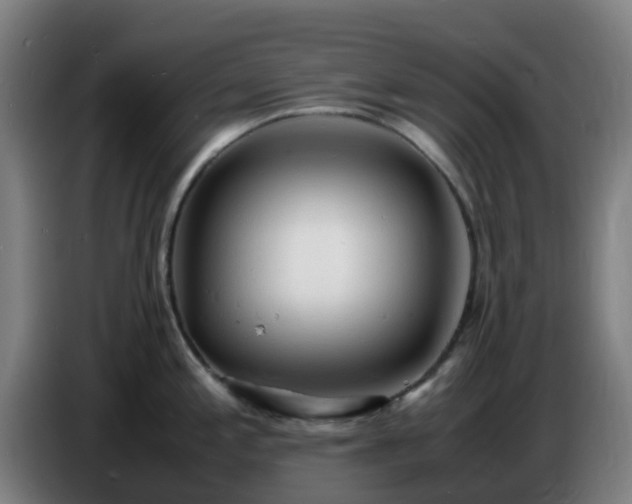 X0000086721197200704201620