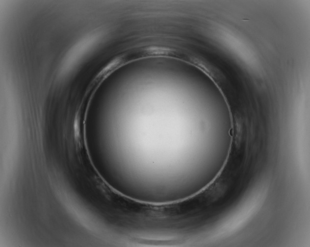 X0000086721198200704201620
