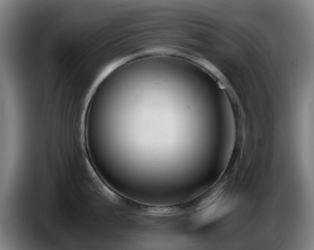 X0000086721199200704201620