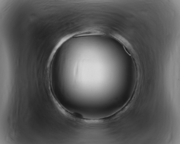 X0000086721200200704201620