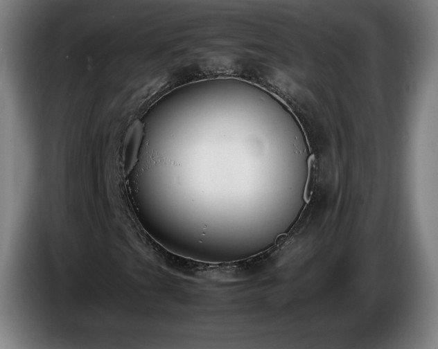 X0000086721201200704201620