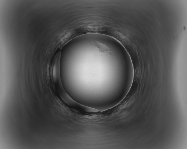 X0000086721202200704201620