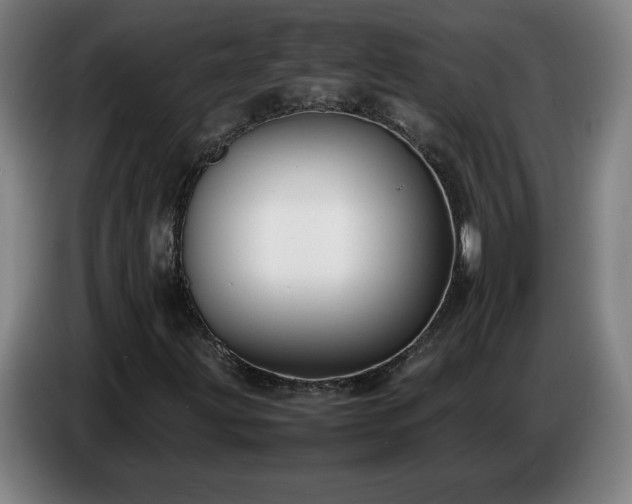 X0000086721203200704201620