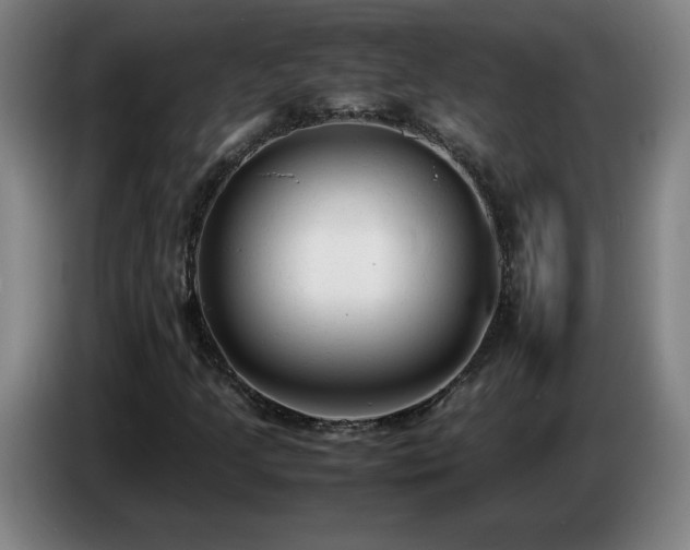 X0000086721205200704201620