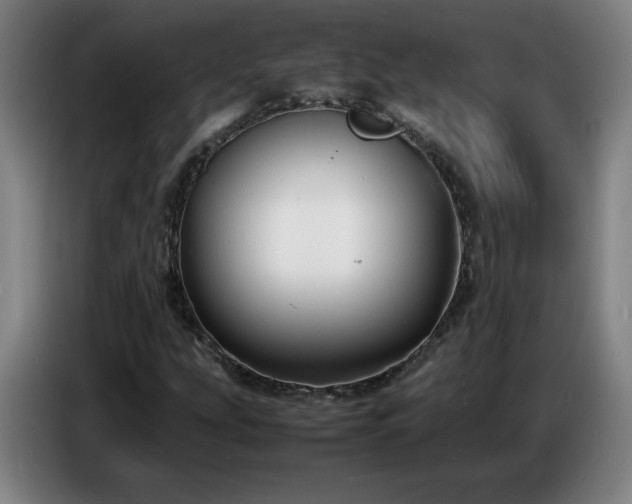 X0000086721207200704201620