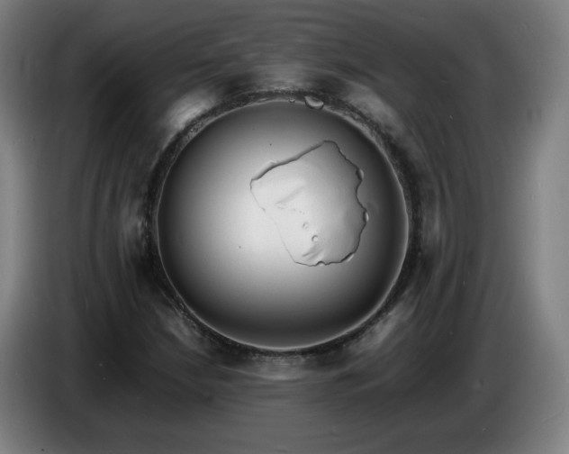 X0000086721210200704201620