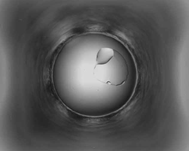 X0000086721211200704201620