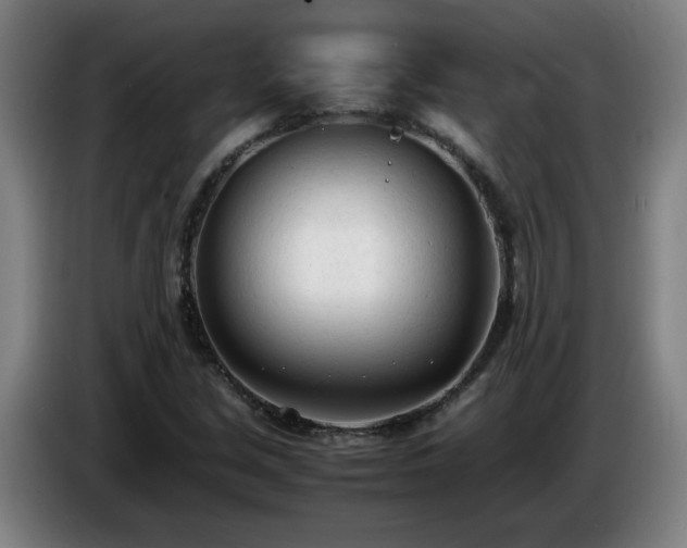 X0000086721213200704201620