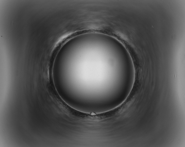 X0000086721214200704201620