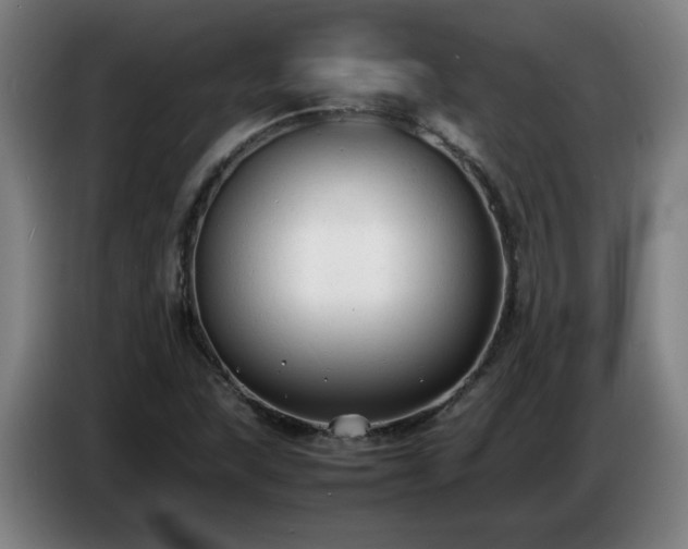 X0000086721215200704201620
