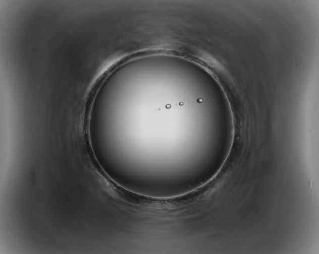X0000086721216200704201620