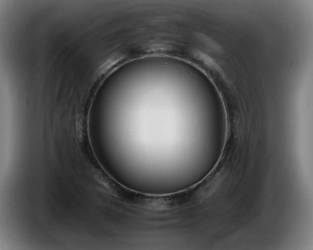 X0000086721217200704201620