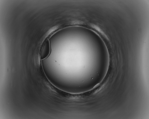 X0000086721221200704201620