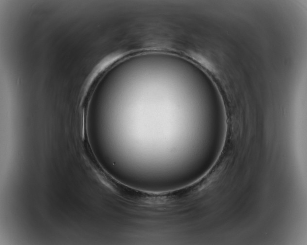 X0000086721223200704201620