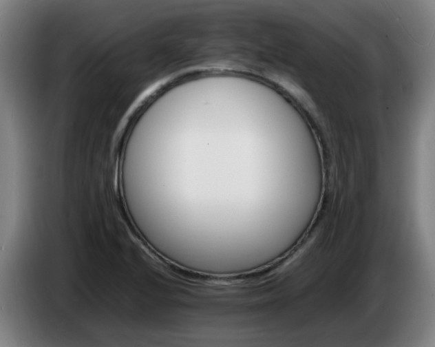 X0000086721224200704201620