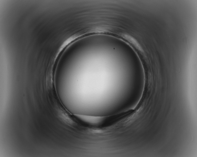 X0000086721226200704201620