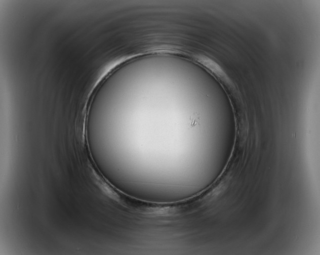 X0000086721228200704201620