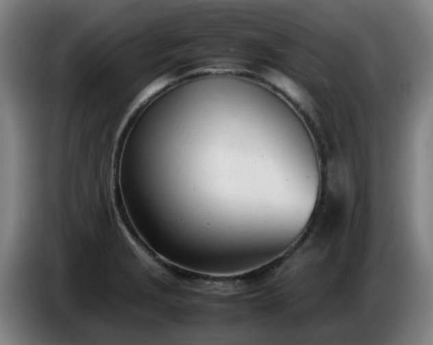 X0000086721229200704201620