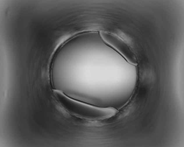 X0000086721230200704201620