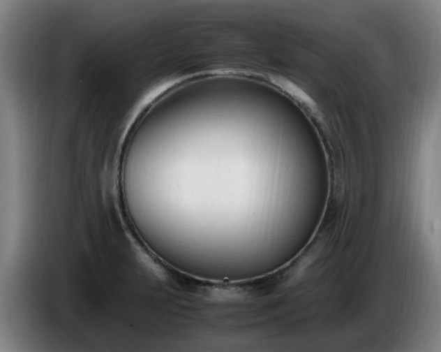 X0000086721231200704201620