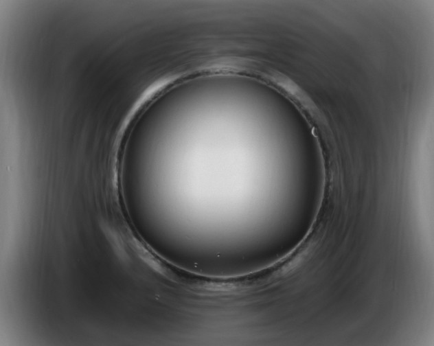 X0000086721232200704201620