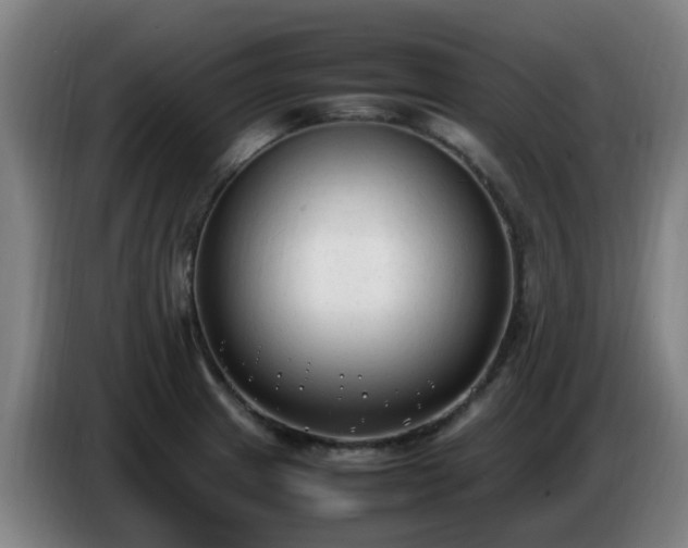 X0000086721233200704201620