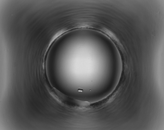 X0000086721234200704201620