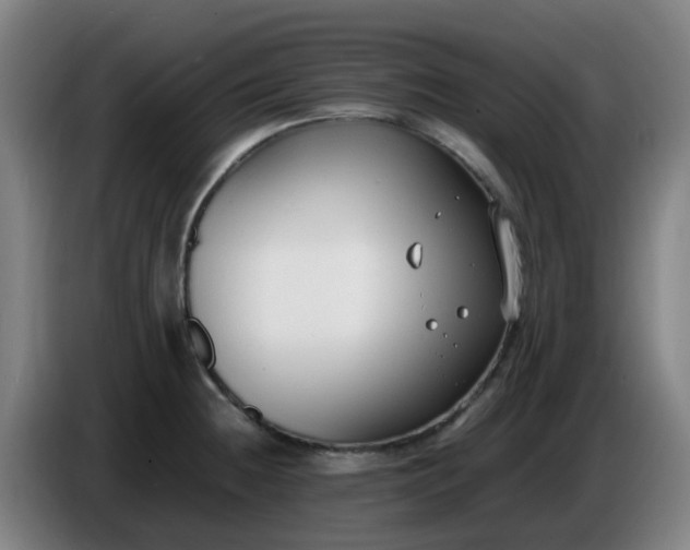X0000086721236200704201620