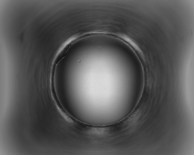 X0000086721237200704201620